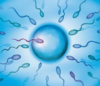 Obstetricia en Clínica Miraflores