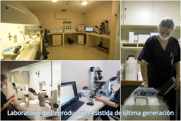 Laboratorio de Reproducción Asistida de última generación